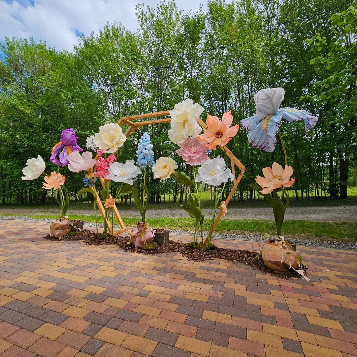 Nunți la HOP Events — Începutul poveștii